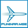 Puninar MSE